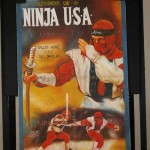 ninja usa